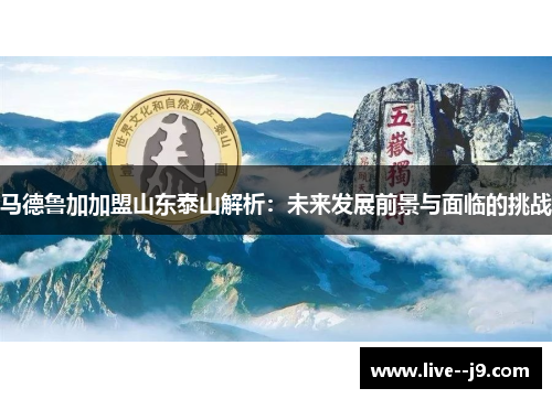 马德鲁加加盟山东泰山解析：未来发展前景与面临的挑战