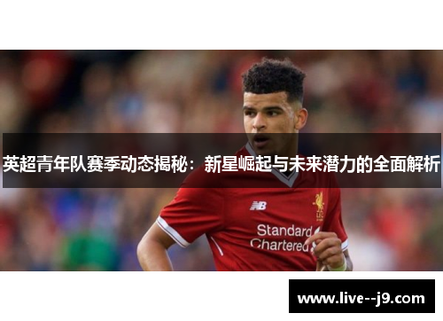 英超青年队赛季动态揭秘：新星崛起与未来潜力的全面解析