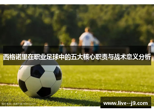 西格诺里在职业足球中的五大核心职责与战术意义分析