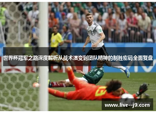世界杯冠军之路深度解析从战术演变到团队精神的制胜密码全面复盘