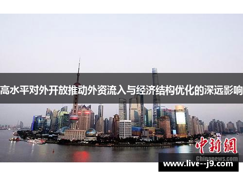 高水平对外开放推动外资流入与经济结构优化的深远影响